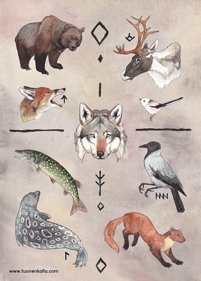 Traditionally drawn artwork depicting different Finnish animals.