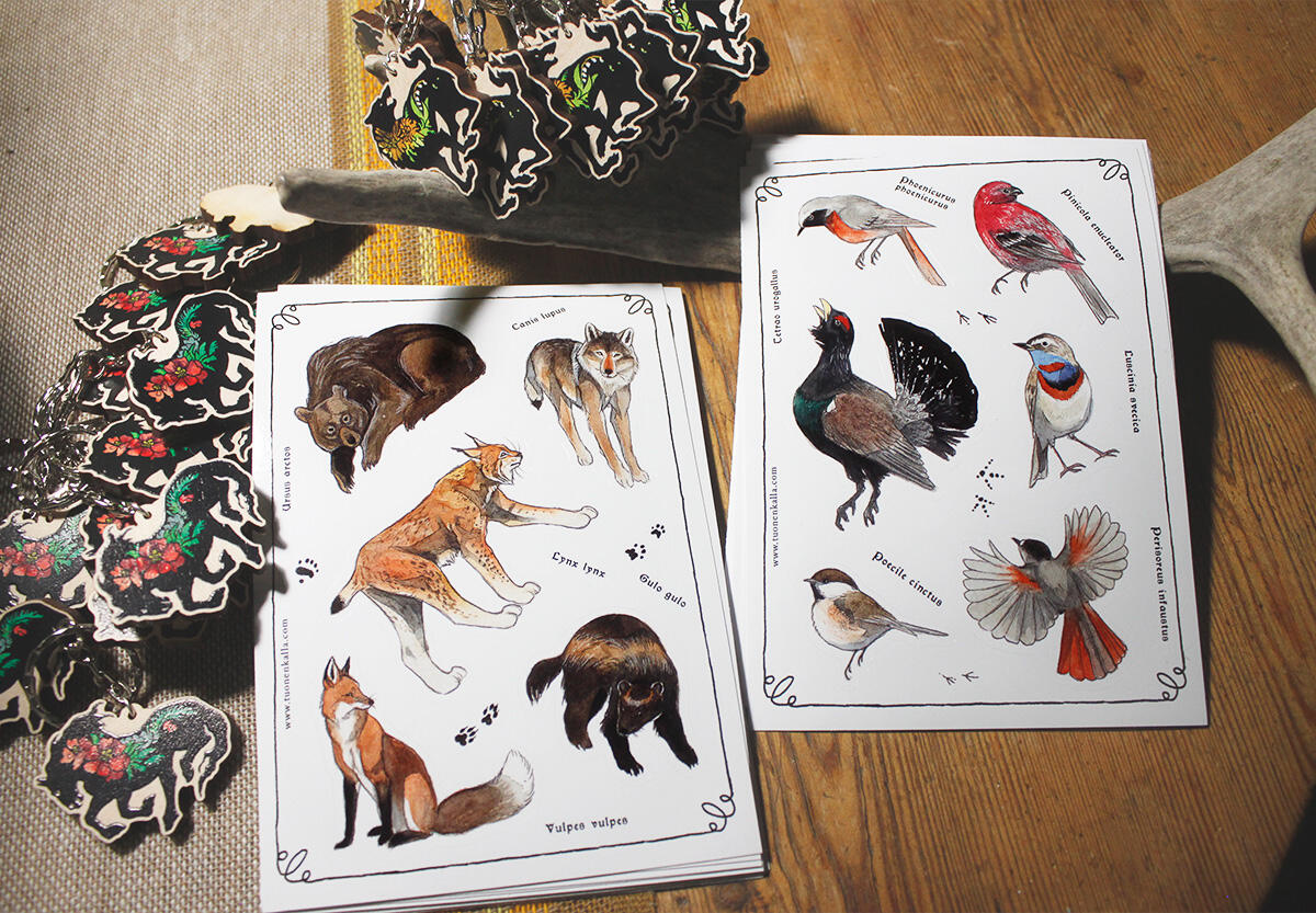 Photograph of a selection of merchandise.