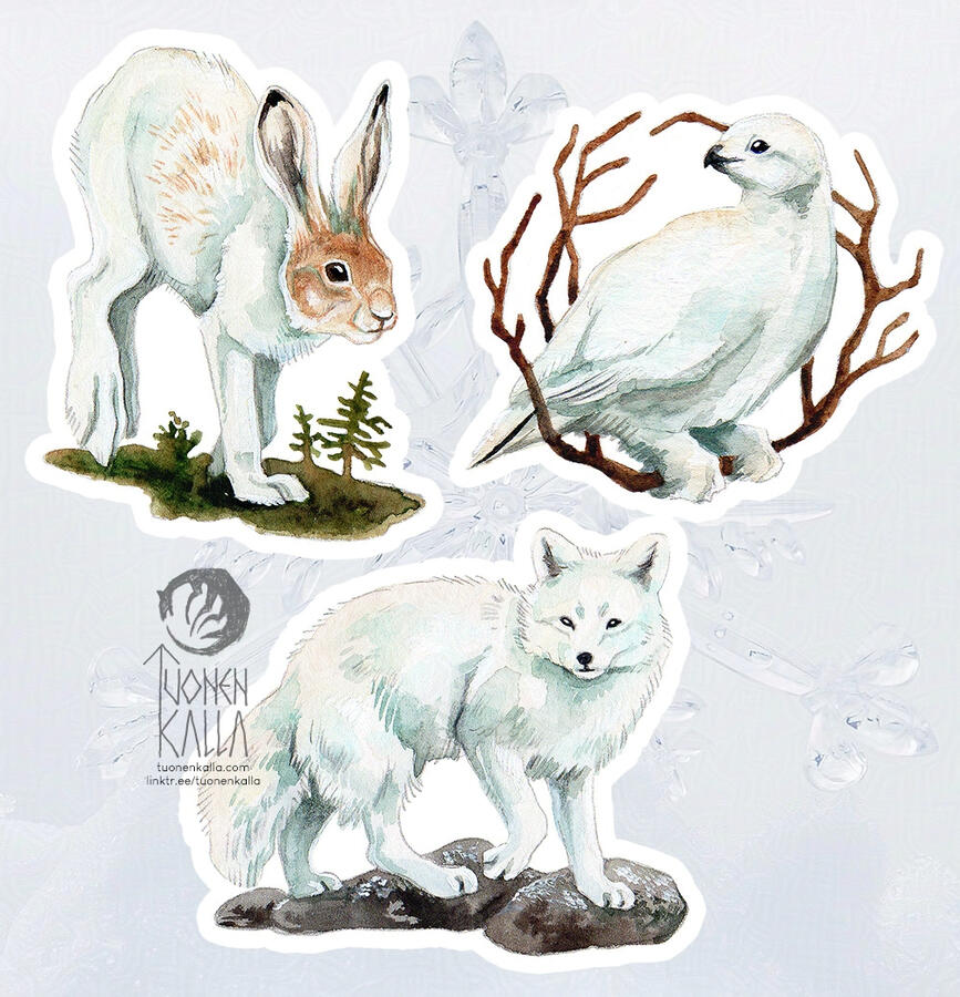 Traditionally painted sticker designs of a mountain hare, a willow ptarmigan and an arctic fox.