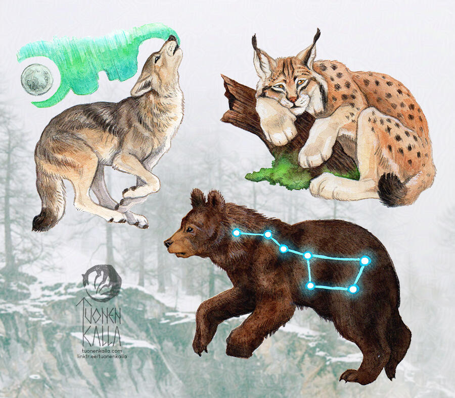 Traditionally painted sticker designs of a lynx, a bear and a wolf.
