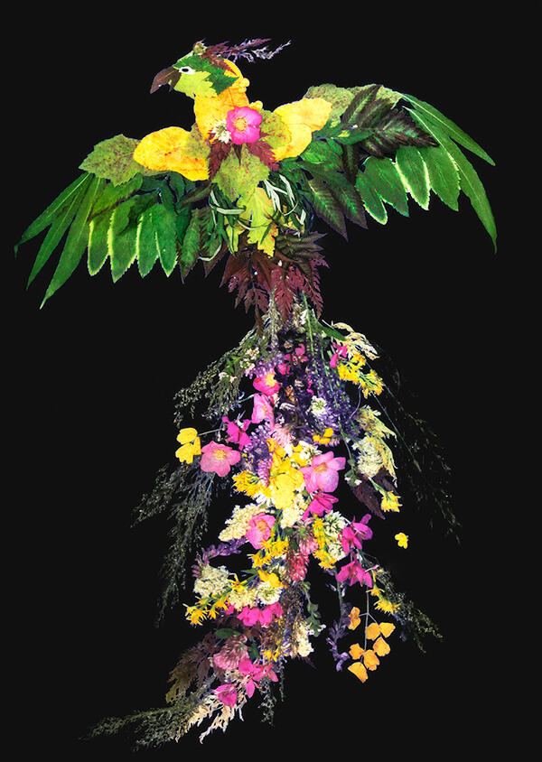 Flower art, depicting a phoenix that's been created by arranging a various flowers and leaves.