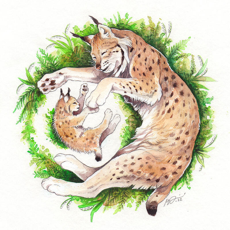 Traditionally painted artwork depicting a sleeping lynx couple: A parent and a child.