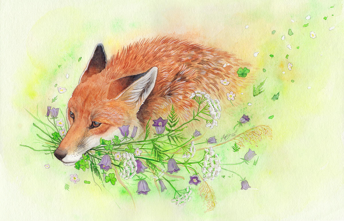 Traditionally painted artwork depicting a fox holding a bouquet of wild flowers.