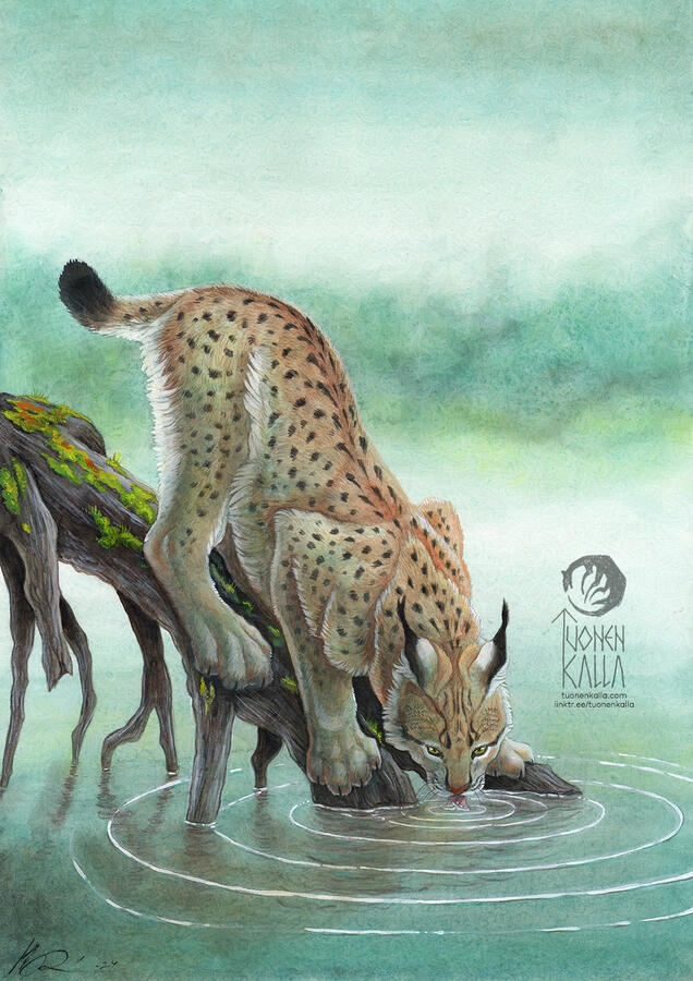 Traditionally painted artwork depicting a lynx drinking from a hazy lake.