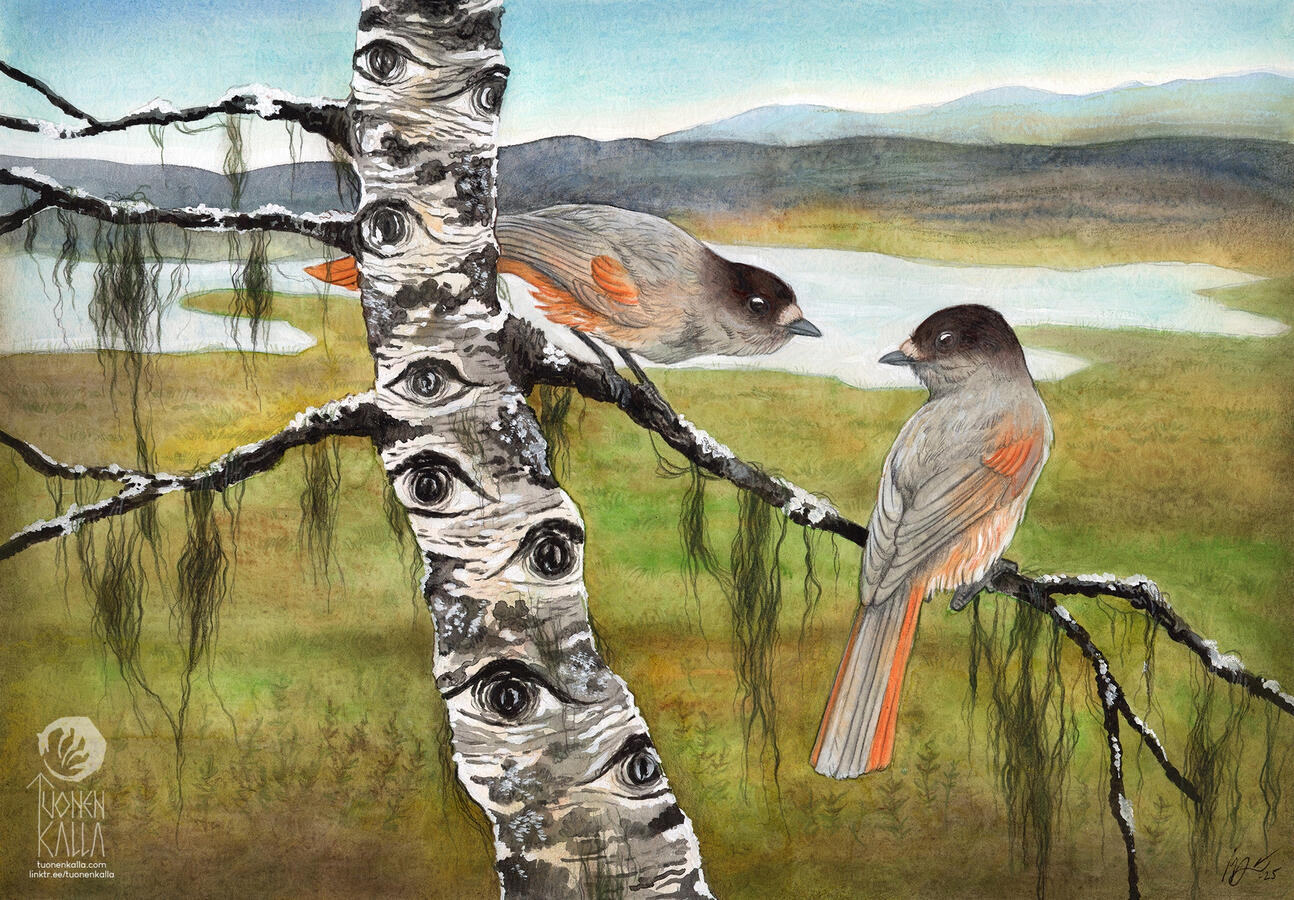 Traditionally painted artwork depicting two siberian jay birds sitting on a birch branch in a northern environment.
