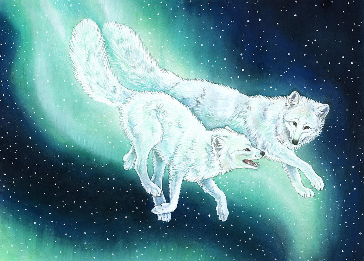 Traditionally painted artwork depicting two arctic foxes running through the night sky filled with aurora borealis.
