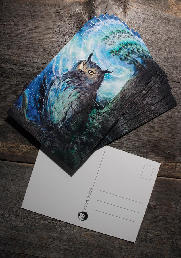 Photograph of an owl post cards.