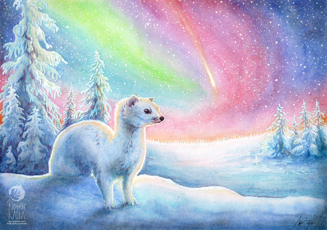 Traditionally painted artwork depicting an ermine sitting on a winter forest with a magical winter sky. A comet is flying through the sky!