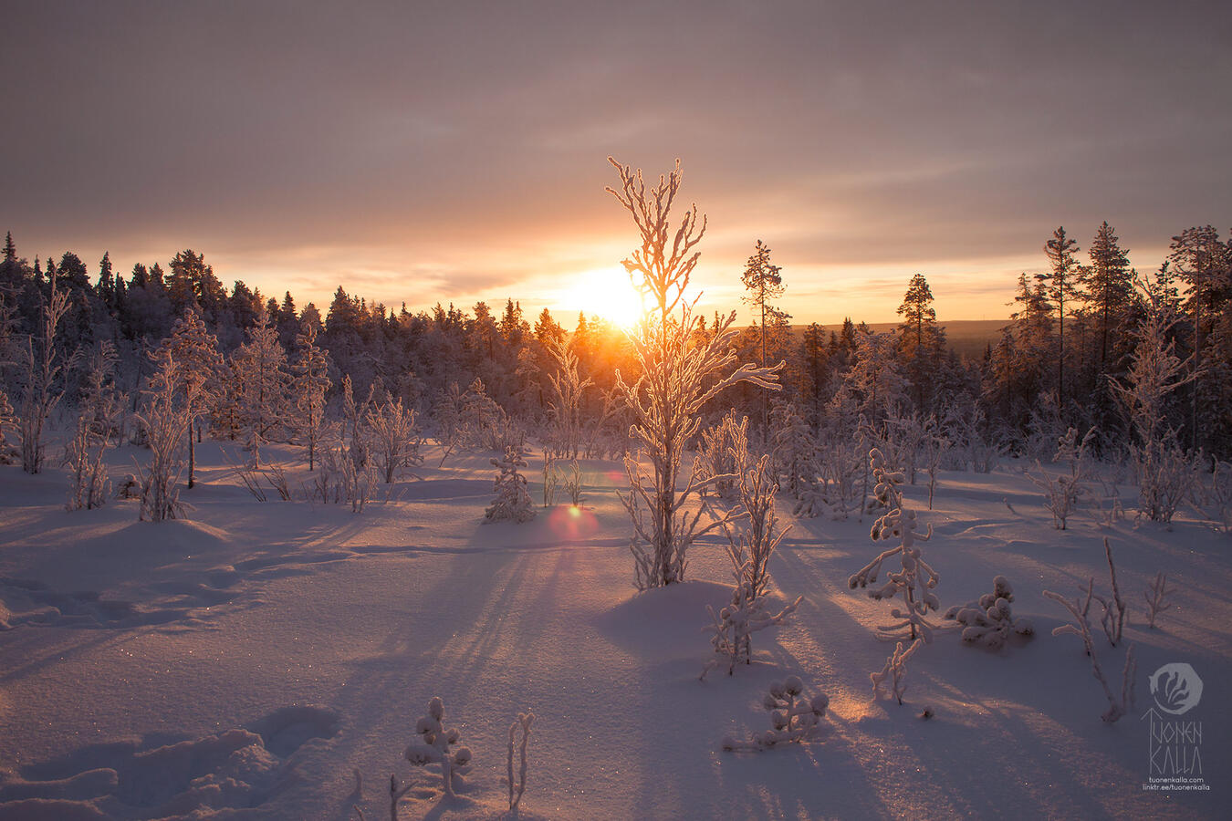 Photograph of a sun during the winter in Lapland.