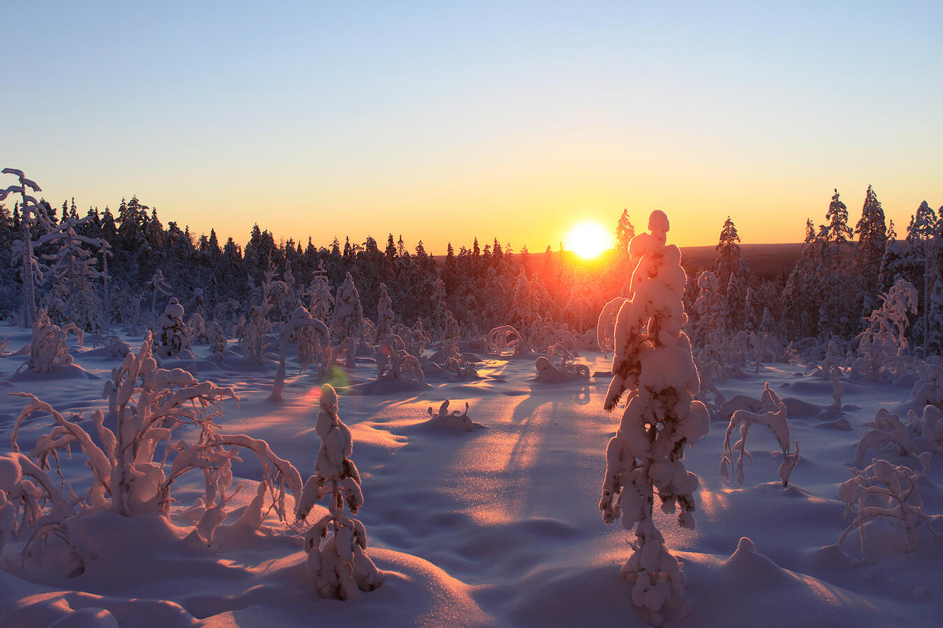 Photograph of a winter sun. The sun colors the environment in warm shades.