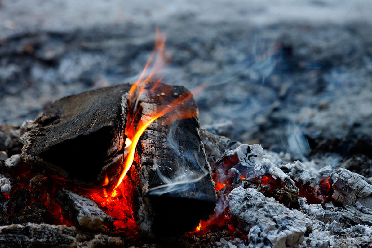 Photograph of a burning campfire on a grey background.