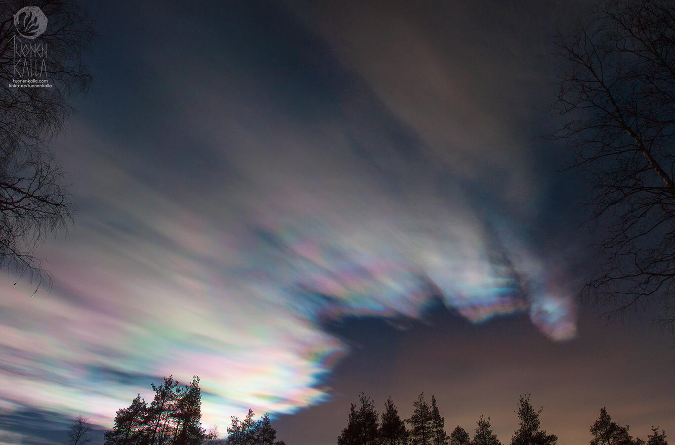 Photograph of colorful polar stratospheric clouds on a dusk winter sky.