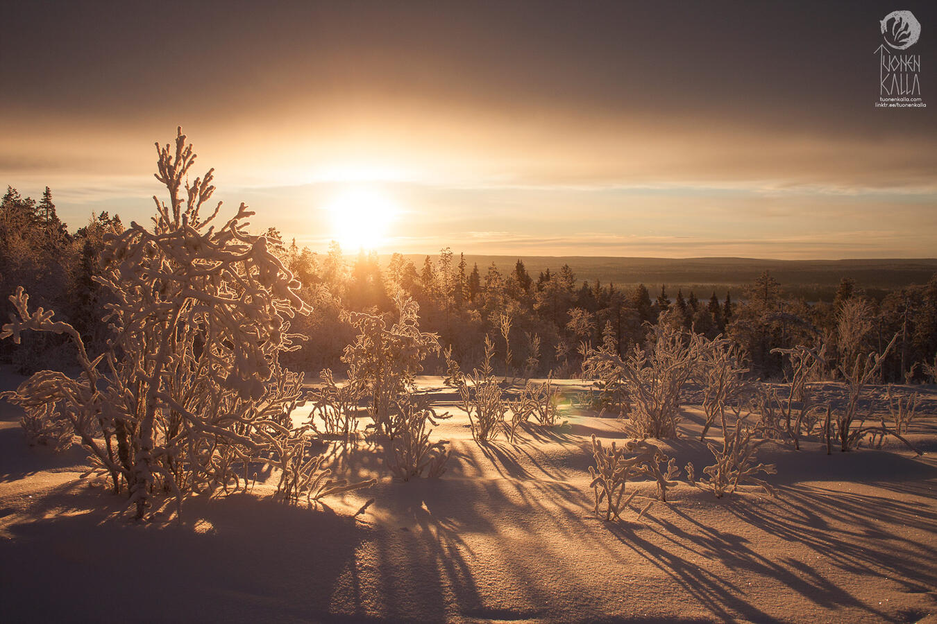 Photograph of a sun during the winter in Lapland.