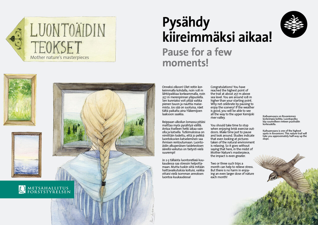Info board for nature trail in Kaihuanvaara. Illustration and layout were my work. 2014