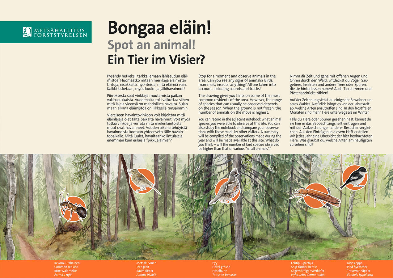Info board for nature trail in Auttiköngäs. Illustration and layout were my work. 2014