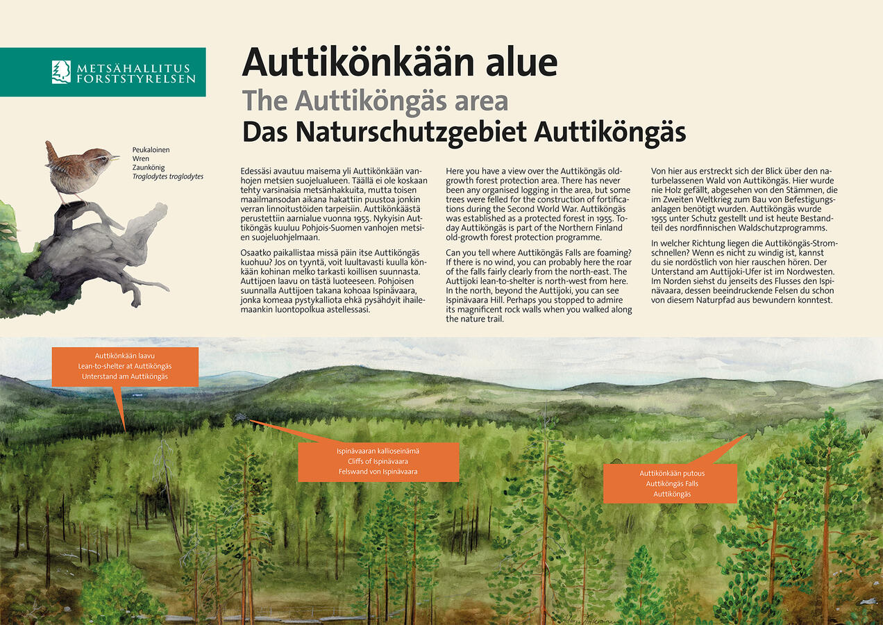 Info board for nature trail in Auttiköngäs. Illustration and layout were my work. 2014
