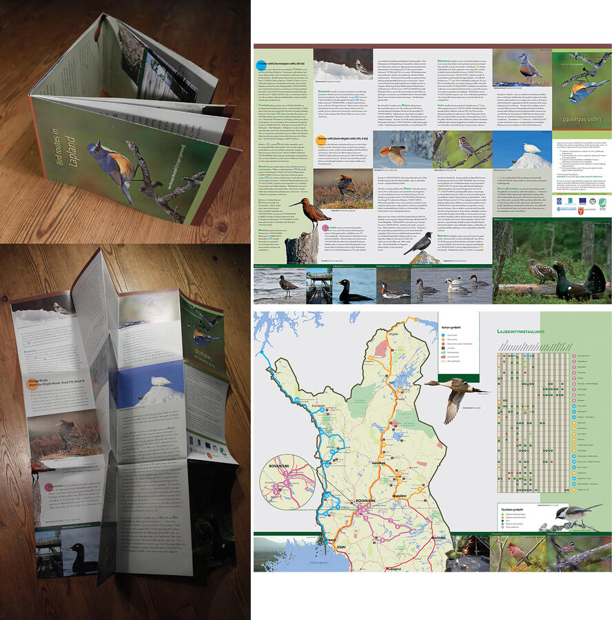 Brochure for LapLinko project. Layout design and execution of the brochure was my work. 2015