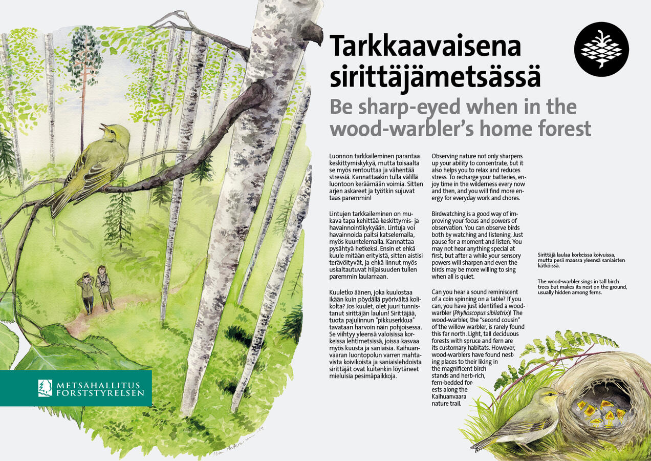 Info board for nature trail in Kaihuanvaara. Illustration and layout were my work. 2014