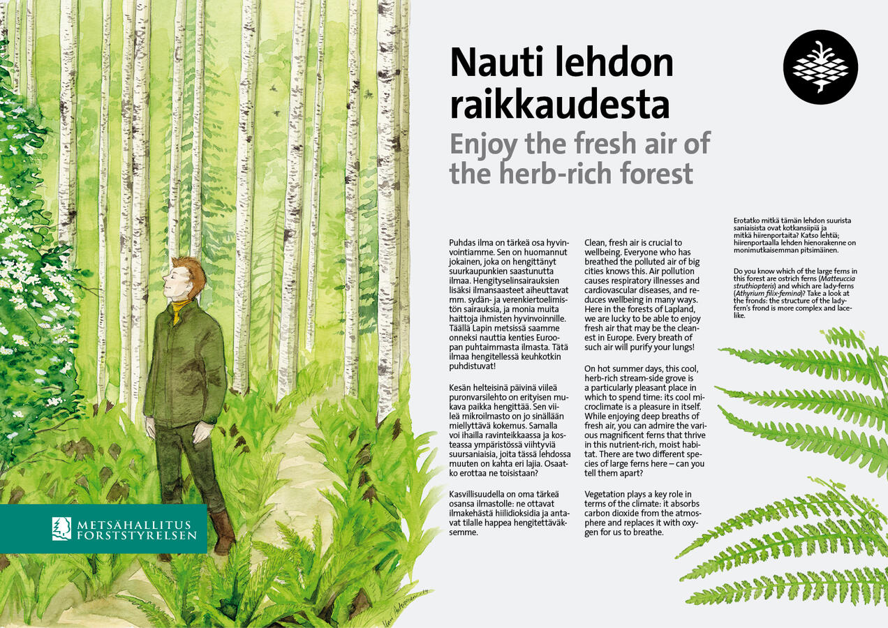 Info board for nature trail in Kaihuanvaara. Illustration and layout were my work. 2014